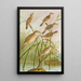 Calamodus schoenobaenus aquaticus arundinaceus - Johann Friedrich Naumann — gerahmtes Bild an der Wand