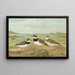 Charadrius hiaticula - Johann Friedrich Naumann — gerahmtes Bild an der Wand