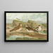 Charadrius morinellus Arenaria interpres Charadrius alexandrinus - Johann Friedrich Naumann — gerahmtes Bild an der Wand