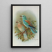 Coracias garrula - Johann Friedrich Naumann — gerahmtes Bild an der Wand