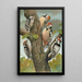 Dendrocopus medius Dendrocopus minor - Johann Friedrich Naumann — gerahmtes Bild an der Wand