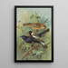 Dolichonyx oryzivorus Molothrus Cabanisii Cassin - Johann Friedrich Naumann — gerahmtes Bild an der Wand
