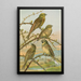 Emberiza citrinella Emberiza cirlus - Johann Friedrich Naumann — gerahmtes Bild an der Wand