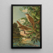 Erithacus luscinia Erithacus philomela - Johann Friedrich Naumann — gerahmtes Bild an der Wand