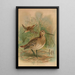 Gallinago major - Johann Friedrich Naumann — gerahmtes Bild an der Wand
