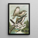 Lanius excubitor borealis Lanius meridionalis Lanius excubitor Homeyeri - Johann Friedrich Naumann — gerahmtes Bild an der Wand