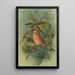 Loxia pityopsittacus Bechst - Johann Friedrich Naumann — gerahmtes Bild an der Wand