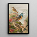 Monticola saxatilis - Johann Friedrich Naumann — gerahmtes Bild an der Wand