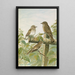 Muscicapa grisola Muscicapa atricapilla - Johann Friedrich Naumann — gerahmtes Bild an der Wand