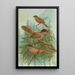 Perisoreus infaustus - Johann Friedrich Naumann — gerahmtes Bild an der Wand