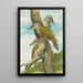 Picus canus - Johann Friedrich Naumann — gerahmtes Bild an der Wand