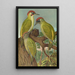 Picus viridis - Johann Friedrich Naumann — gerahmtes Bild an der Wand