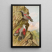 Tichodroma muraria - Johann Friedrich Naumann — gerahmtes Bild an der Wand
