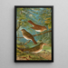 Turdus fuscescens Turdus pallassii Turdus swainsonii - Johann Friedrich Naumann — gerahmtes Bild an der Wand