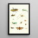 Kurze Geschichte der Insekten des Dr. Sulzer Pl 09 - Johann Heinrich Sulzer — gerahmtes Bild an der Wand