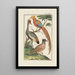 Physique - Johann Jacob Ebert — gerahmtes Bild an der Wand