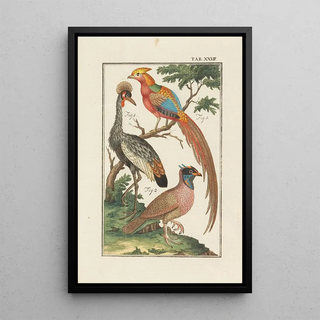 Johann Jacob Ebert - Naturlehre.webp