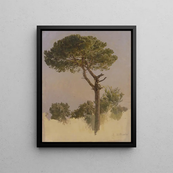 Johann Nepomuk Rauch - Pinienbaum bei S Nicola da Tolentino in Rom.webp