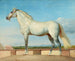 Mousse devant un mur bas - Johann Peter Krafft — Ansicht des Kunstwerks