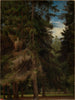 Klarer Wald in der Kiefernmischung - Johann Wilhelm Schirmer — Ansicht des Kunstwerks