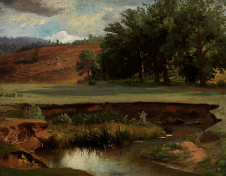 Ufer des Waldes mit Teich im Vordergrund - Johann Wilhelm Schirmer — Ansicht des Kunstwerks