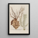 Phytanthoza iconographia Pl151 - Johann Wilhelm Weinmann — gerahmtes Bild an der Wand