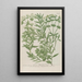 Phytanthoza iconographia Pl211 - Johann Wilhelm Weinmann — gerahmtes Bild an der Wand