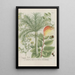 Phytanthoza iconographia Pl224 - Johann Wilhelm Weinmann — gerahmtes Bild an der Wand