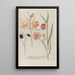 Phytanthoza iconographia Pl240 - Johann Wilhelm Weinmann — gerahmtes Bild an der Wand