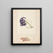 Studie einer Blume in einem Glas mit Wasser und weißen Spargeln - Johanna Fosie — gerahmtes Bild an der Wand