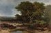 La Lande près de Wolfheze - Johannes Wernardus Bilders — Ansicht des Kunstwerks