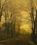 Oktober nach dem Leuchten - John Atkinson Grimshaw — Ansicht des Kunstwerks
