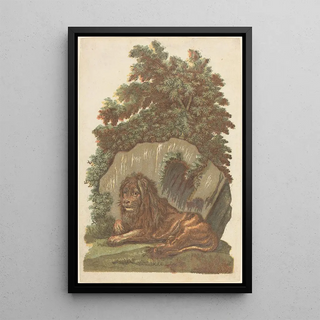 John Baptist Jackson - The Lion.webp