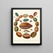Encyclopädie Londinensis Conchology Pl 03 - John Chapman — gerahmtes Bild an der Wand