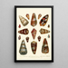 Encyclopaedia londinensis Conchyliologie Pl 05 - John Chapman — gerahmtes Bild an der Wand