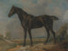 Der schwarze Pferd von Constable - John Constable — Ansicht des Kunstwerks