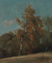 Studie einer Esche - John Constable — Ansicht des Kunstwerks