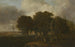 Hochhölzerischer Oboe Common, Norfolk - John Crome — Ansicht des Kunstwerks