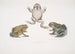 Kröte mit schuppiger Nase Bufo carinatus 2 2a Zweifelhafte Kröte Bufo dubius Bengalen - John Edward Gray — Ansicht des Kunstwerks