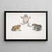 Kröte mit schuppiger Nase Bufo carinatus 2 2a Zweifelhafte Kröte Bufo dubius Bengalen - John Edward Gray — gerahmtes Bild an der Wand