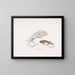 Lézard mit Lyraförmigem Kopf von Macgregor, Einhorn-Lizard von Stoddart, Ceylan - John Edward Gray — gerahmtes Bild an der Wand
