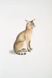 Chat allié Felis affinis - John Edward Gray — Ansicht des Kunstwerks