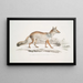 Renard Bengal Canis Vulpes Bengalensis Canis Kokree - John Edward Gray — gerahmtes Bild an der Wand