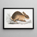 Lièvre chinois Lepus Sinensis - John Edward Gray — gerahmtes Bild an der Wand