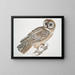 Chinesische Eulen-Gemälde Strix sinensis - John Edward Gray — gerahmtes Bild an der Wand