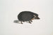 Igel mit Halsband Erinaceus collaris - John Edward Gray — Ansicht des Kunstwerks