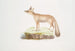 Renard du Doab Canis Vulpes rufescens femelle - John Edward Gray — Ansicht des Kunstwerks