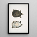 Trionyx ocellé Tryonix ocellatus - John Edward Gray — gerahmtes Bild an der Wand