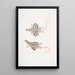 Lézard-Drache mit fünf Streifen Draco quinquefasciata - John Edward Gray — gerahmtes Bild an der Wand