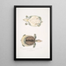Trionyx plat Tryonix subplanus - John Edward Gray — gerahmtes Bild an der Wand